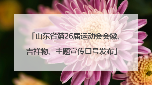 山东省第26届运动会会徽、吉祥物、主题宣传口号发布