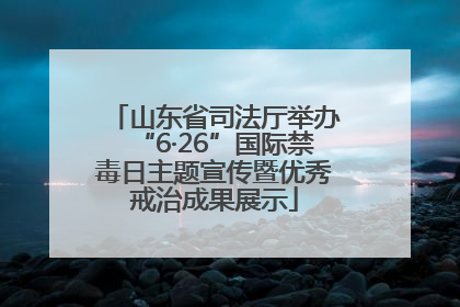 山东省司法厅举办“6·26”国际禁毒日主题宣传暨优秀戒治成果展示