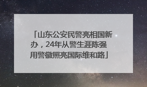 山东公安民警亮相国新办，24年从警生涯陈强用警徽照亮国际维和路