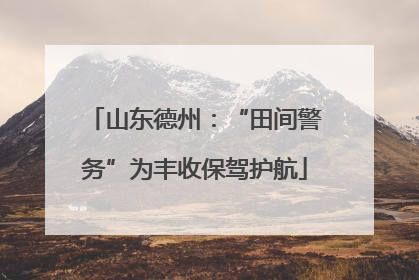 山东德州：“田间警务”为丰收保驾护航