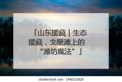 山东援藏｜生态援藏，戈壁滩上的“潍坊魔法”