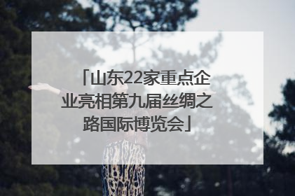 山东22家重点企业亮相第九届丝绸之路国际博览会