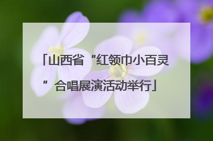 山西省“红领巾小百灵”合唱展演活动举行