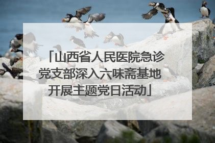 山西省人民医院急诊党支部深入六味斋基地开展主题党日活动