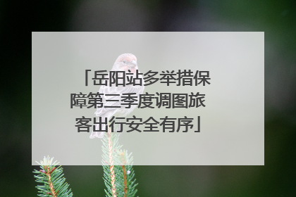 岳阳站多举措保障第三季度调图旅客出行安全有序
