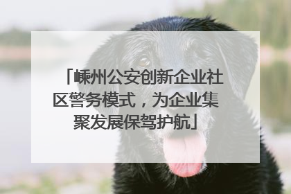 嵊州公安创新企业社区警务模式，为企业集聚发展保驾护航