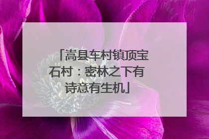 嵩县车村镇顶宝石村：密林之下有诗意有生机