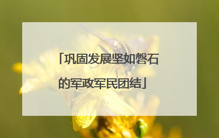 巩固发展坚如磐石的军政军民团结