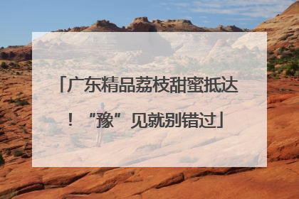 广东精品荔枝甜蜜抵达！“豫”见就别错过