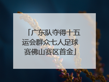 广东队夺得十五运会群众七人足球赛佛山赛区首金