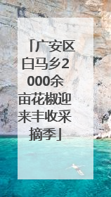 广安区白马乡2000余亩花椒迎来丰收采摘季
