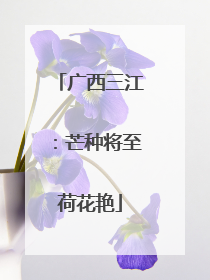 广西三江：芒种将至荷花艳