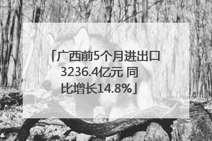 广西前5个月进出口3236.4亿元 同比增长14.8%