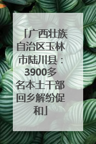 广西壮族自治区玉林市陆川县：3900多名本土干部回乡解纷促和