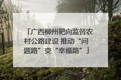 广西柳州靶向监督农村公路建设 推动“问题路”变“幸福路”
