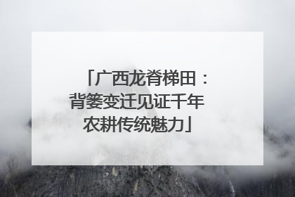 广西龙脊梯田：背篓变迁见证千年农耕传统魅力