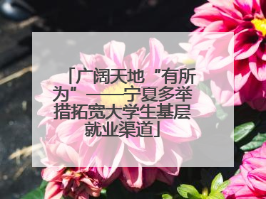 广阔天地“有所为”——宁夏多举措拓宽大学生基层就业渠道