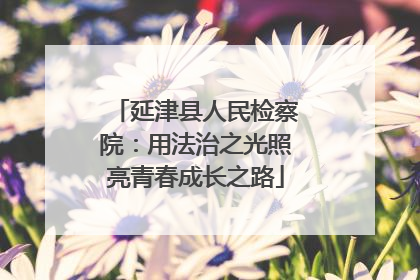 延津县人民检察院：用法治之光照亮青春成长之路