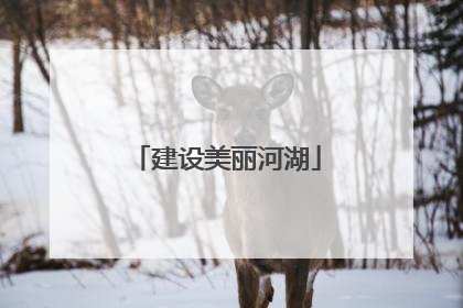 建设美丽河湖