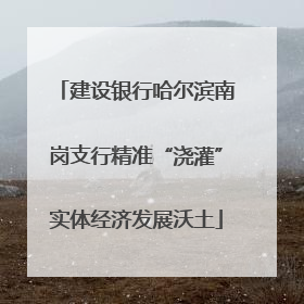 建设银行哈尔滨南岗支行精准“浇灌”实体经济发展沃土