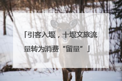 引客入堰，十堰文旅流量转为消费“留量”
