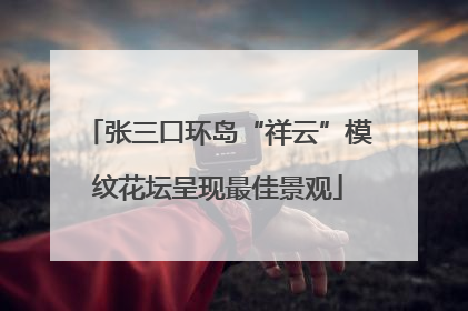 张三口环岛“祥云”模纹花坛呈现最佳景观