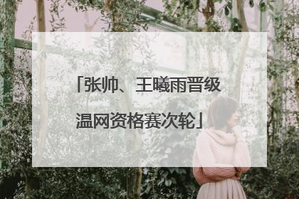 张帅、王曦雨晋级温网资格赛次轮