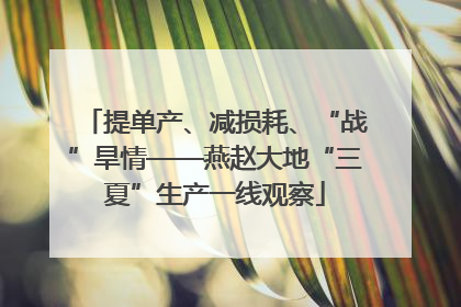 提单产、减损耗、“战”旱情——燕赵大地“三夏”生产一线观察