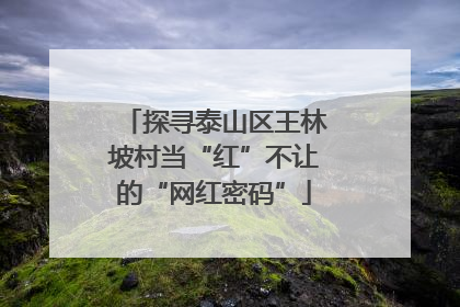 探寻泰山区王林坡村当“红”不让的“网红密码”