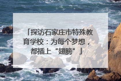 探访石家庄市特殊教育学校：为每个梦想，都插上“翅膀”