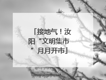 接地气！汝阳“文明集市”月月开市