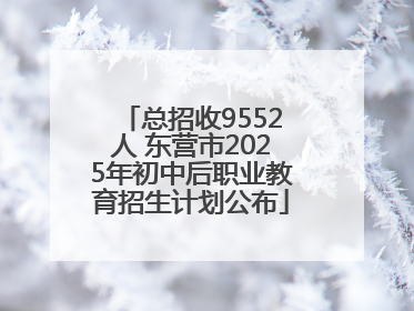 总招收9552人 东营市2025年初中后职业教育招生计划公布