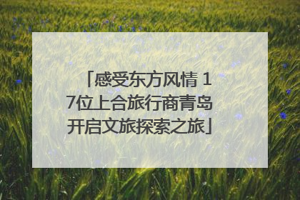 感受东方风情 17位上合旅行商青岛开启文旅探索之旅