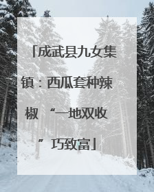 成武县九女集镇：西瓜套种辣椒 “一地双收”巧致富