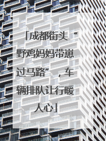 成都街头“野鸡妈妈带崽过马路”，车辆排队让行暖人心