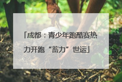 成都：青少年跑酷赛热力开跑“蓄力”世运