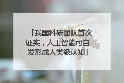 我国科研团队首次证实，人工智能可自发形成人类级认知