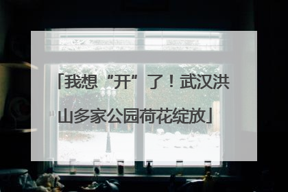 我想“开”了！武汉洪山多家公园荷花绽放