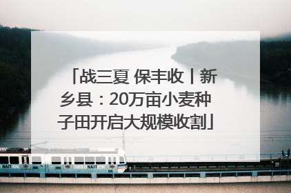 战三夏 保丰收丨新乡县：20万亩小麦种子田开启大规模收割