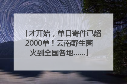 才开始，单日寄件已超2000单！云南野生菌火到全国各地……