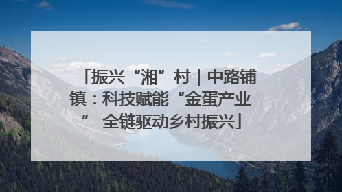 振兴“湘”村｜中路铺镇：科技赋能“金蛋产业” 全链驱动乡村振兴