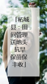 柘城县：田间管理送地头 抗旱保苗保丰收