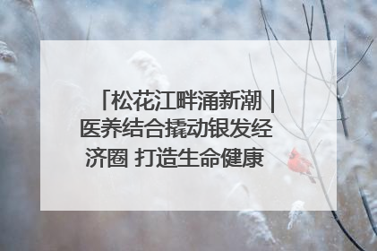 松花江畔涌新潮｜医养结合撬动银发经济圈 打造生命健康产业新样本