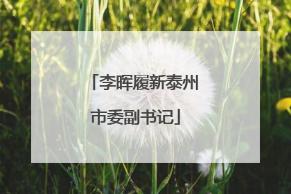李晖履新泰州市委副书记