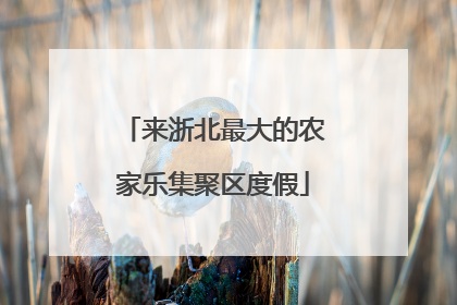 来浙北最大的农家乐集聚区度假