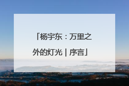 杨宇东：万里之外的灯光｜序言