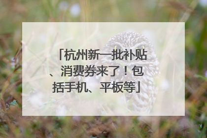 杭州新一批补贴、消费券来了！包括手机、平板等
