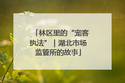 林区里的“宠客执法”｜湖北市场监管所的故事