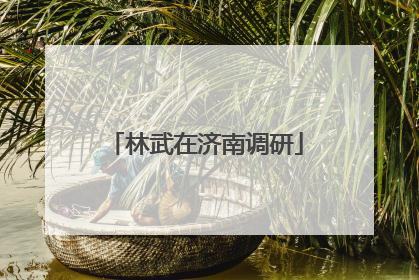 林武在济南调研