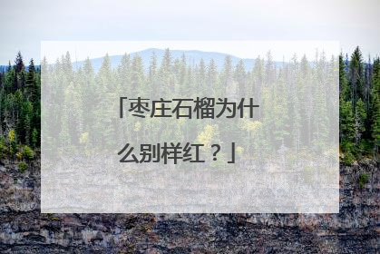 枣庄石榴为什么别样红？